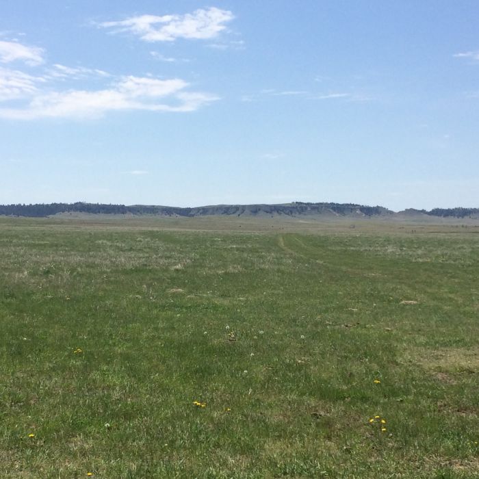 Pine Ridge Reservation, South Dakota. Photo credit: Shana Baumgartner, May 2019.