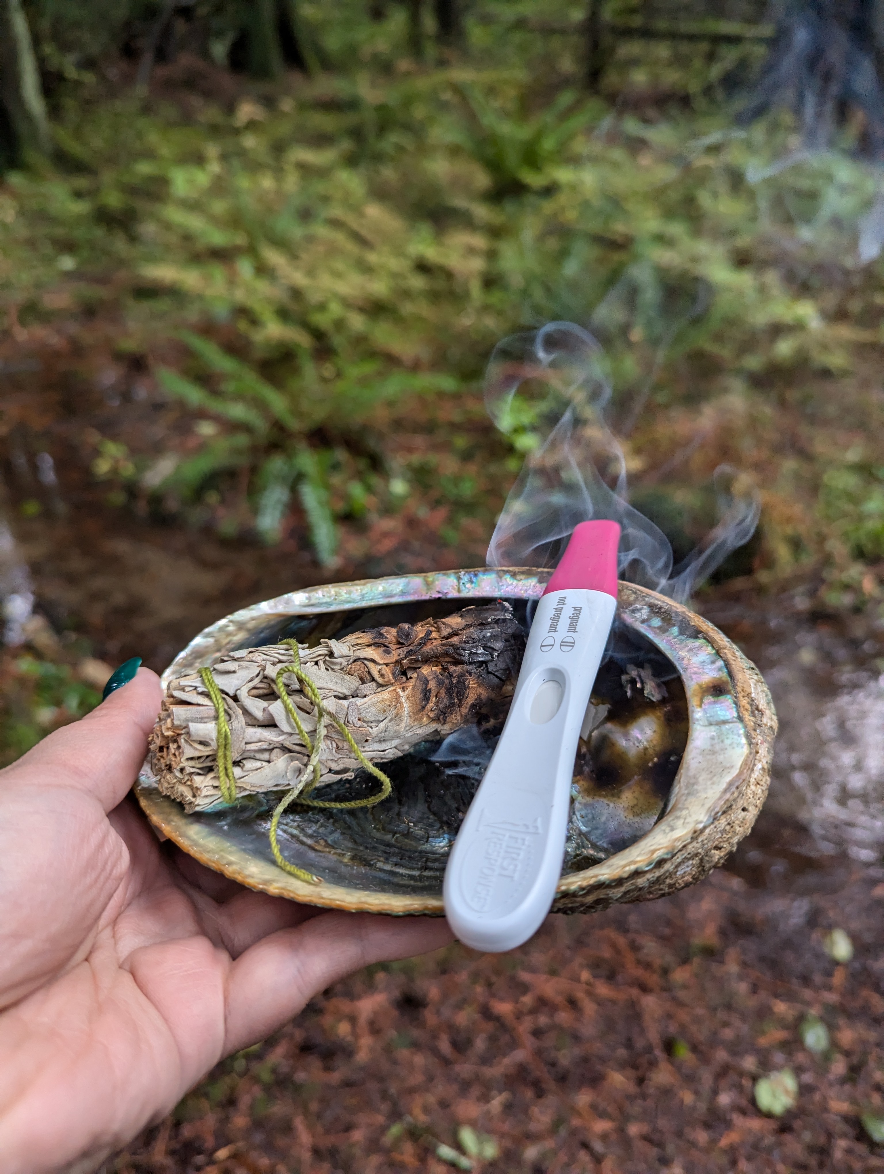 Una mano sostiene una concha de abulón durante una ceremonia de sahumerio. Dentro de la concha hay pasto dulce, salvia y una prueba de embarazo. La foto fue tomada por Seren Friskie el 16 de noviembre de 2024.