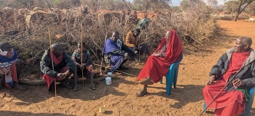 Maasai Elders and young sit together outdoors during an Oloongukuuni storytelling gathering. An Elder leads the conversation while others listen attentively. Trees, traditional fences, and the village can be seen in the background.