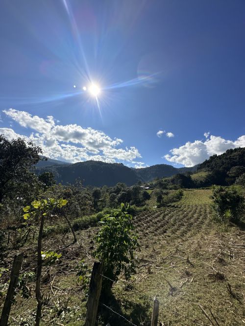 Maya territories and their bountiful soil in the lands Indigenous people leave to migrate. This picture was taken in San Juan Ixcoy, Guatemala. Photo credit: Lucero Gonzalez Alvarado, December 29, 2022